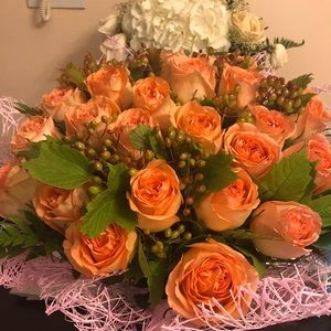 Meet your Posher, Kelly